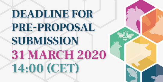 Deadline for pre-proposal submission