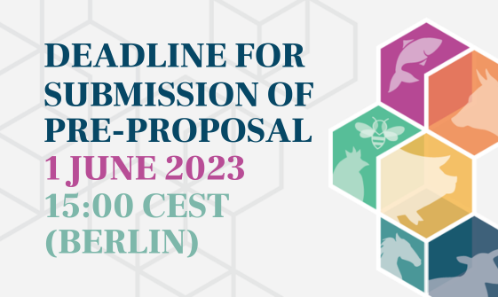 Deadline for submission of pre-proposals
